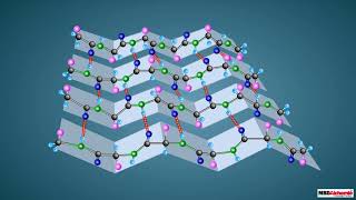 Proteins and their Structure [upl. by Mcspadden]