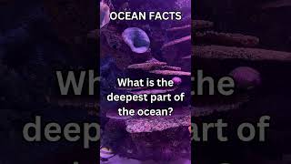 OCEAN FACTS [upl. by Arrej]