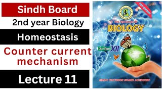 counter current mechanism  homeostasis class 12 biology Sindh board New book [upl. by Scopp250]