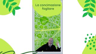 La concimazione fogliare in un minuto ecco il riassuntozzo short [upl. by Arihsat]