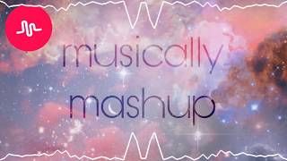 Musically Mashup  love critic [upl. by Essile70]