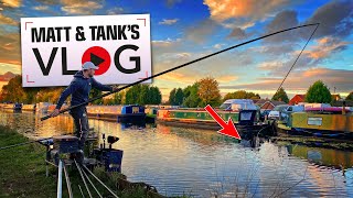 Catching GIANT Canal Fish  Matt and Tank VLOG 019 [upl. by Llatsyrk]