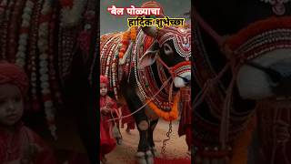 Bail Pola Festival Best Video 2024   बैल पोळा सजावट [upl. by Yelahc]