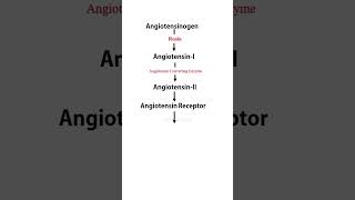 Renin Angiotensin Aldosteron System  RAAS  solutionpharmacy pharmacologyclass [upl. by Plank]