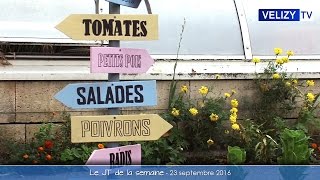 Vélizy TV  Le JT de la semaine  23 septembre 2016 [upl. by Anilek]