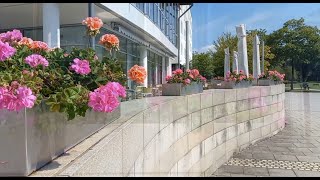 Videoepisode vom Spaziergang durch die Stadt Amberg Bayern [upl. by Aonehc767]