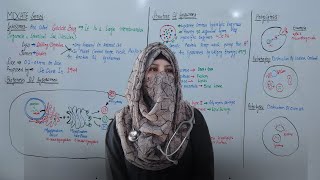 Lysosomes Suicide Bag MDCAT Series Cell Structure And Function Detail Lecture [upl. by Nylakcaj]