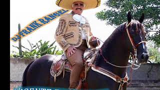 vicente fernandez con golpes de pecho dj frank rangel [upl. by Nnyliak]