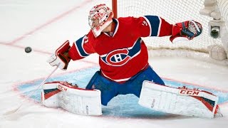 Best Saves in NHL History [upl. by Jaret52]