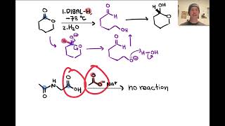 Acylations of Nucleophiles  LTQ 71 Spring 2024 [upl. by Britta700]