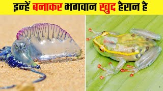 इन जानवरो की आंतें तक नजर आ जाती है । 15 Transparent animals in the world । Can You See This Animals [upl. by Aix]