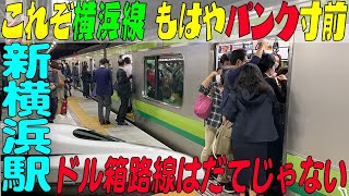 ★これぞ横浜線★駅はもはやパンク寸前 ドル箱路線はだてじゃない 【新横浜駅】神奈川県横浜市 [upl. by Hum]