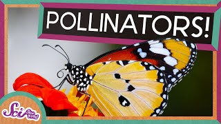 Flowers and Their Pollinators A Perfect Match  Spring is Here  SciShow Kids [upl. by Sybille]