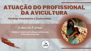 ATUAÇÃO DO PROFISSIONAL DA AVICULTURA Médicos Veterinários e Zootecnistas [upl. by Ainslie]