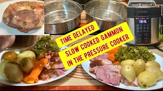 slow cooked Gammon joint and a complete meal cooked in the Cosori pressure cooker [upl. by Yahs]