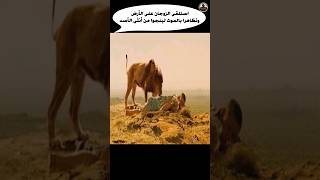 استلقى الزوجان على الأرض وتظاهرا بالموت لينجوا من أنثى الأسد Shorts فلم movie قصة film ملخص [upl. by Ellerud]