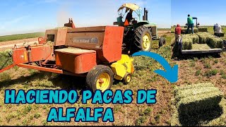 Así se Hacen las pacas de alfalfa  Empacadora New Holland  Valle del Yaqui [upl. by Jonathon]