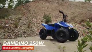 Funbikes Bambino 250w Kids Electric Mini Quad Bike [upl. by Fasa]