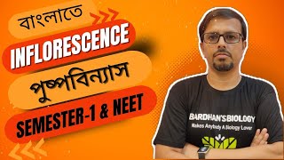 Inflorescence পুষ্পবিন্যাস । Class 11। NEET amp Semester 1 । Racemose amp Cymose [upl. by Ikey307]