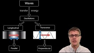 Transverse and Longitudinal Wave Demonstration  A level and IGCSE Physics [upl. by Merfe]