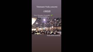 Telemann Viola concerto 신랑입장 [upl. by Nada]