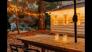 Solar Elegance Edison Bulb String Lights Powered by the Sun [upl. by Grange]