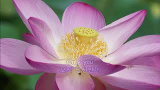 Only You  The Platters with Lyrics가사번역  신사임당 초충도 화단 Ojukheon 오죽헌 on Aug 13 2017 [upl. by Onder]