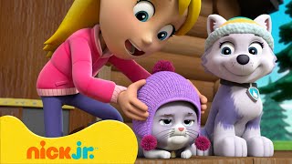 PAW Patrol ¡Misiones de rescate de gatitos y mascotas con Everest Chase y más Nick Jr en Español [upl. by Rory]