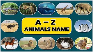 Animals Name With Picture  A To Z Animals Name  A to Z kids Learn  A to z [upl. by Claudell929]