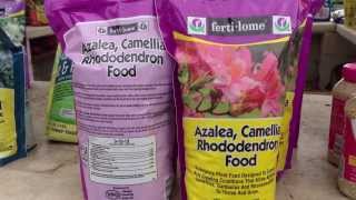 Azalea Camellia and Rhododendron Fertilizer by Fertilome  Quick Video Instructions by Chad Harris [upl. by Michel]