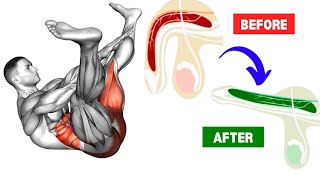 Pelvic Floor Strengthening Exercises  x3 Daily Routine [upl. by Othe]