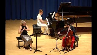 Carl Czerny  Fantasia Concertante for Flute Cello and Piano Op 256 Marsyas Trio  Live in Leeds [upl. by Batchelor215]