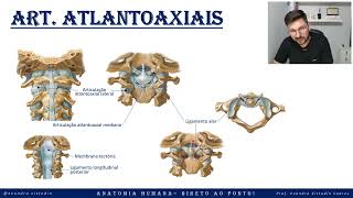 Articulação atlantoaxial  Sistema articular  Anatomia direto ao ponto [upl. by Adda]