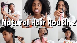 Natural Hair 👩🏾‍🦱  FULL routine detangle wash blow dry twist 💆🏾‍♀️ [upl. by Dola]