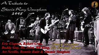 Jimmie Vaughan  Six Strings Down From Tribute To SRV  1995 Kostas A171 [upl. by Lovett765]