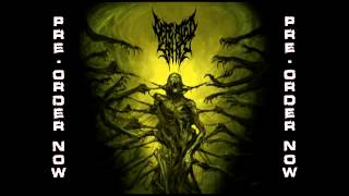 DEFEATED SANITY  Naraka New Track 2013 [upl. by Emiaj]