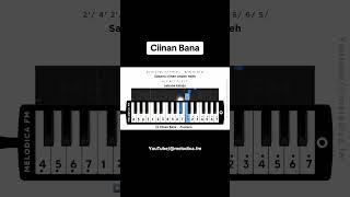 CIINAN BANA pianika [upl. by Nwadahs]