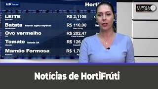 Notícias de Hortifrúti com Karina Botião [upl. by Mozart]