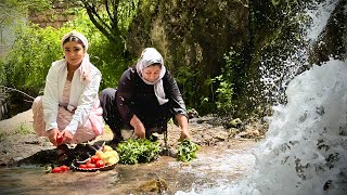 Cooking a Delicious Meal with Meat and Eggplant in the Village Forest [upl. by Ahsien67]