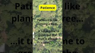 Seeds of Wisdom – Patience  motivation agelesswisdom quotes facts hiddenwisdom [upl. by Anile]