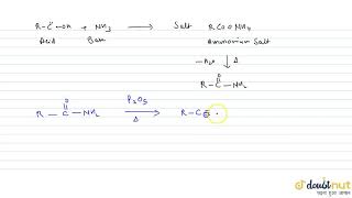 FORMATION OF AMIDES AND NITRILES [upl. by Roger]