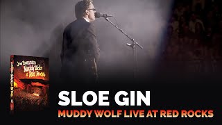 Joe Bonamassa Official  quotSloe Ginquot  Muddy Wolf at Red Rocks [upl. by Cumings]