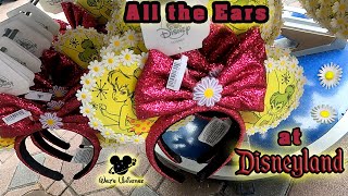 Ears at Disneyland [upl. by Aivilys]