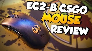 ZOWIE EC2B CSGO Version mouse for esports Review [upl. by Dweck]