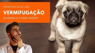 VERMIFUGAÇÃO  SAIBA COMO E QUANDO VERMIFUGAR SEU CÃO E GATO  DESVERMINAR [upl. by Brentt189]