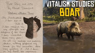 Vitalism Studies Pamphlet Boar Location  Boar Vitalism Gameplay RDR2 [upl. by Nohsyar9]