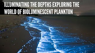 Illuminating the Depths Exploring the World of Bioluminescent Plankton [upl. by Esteban]