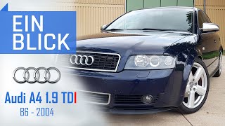 Audi A4 B6 19 TDI 2004  Die BESTE WAHL in der Welt der A4s [upl. by Harutek]