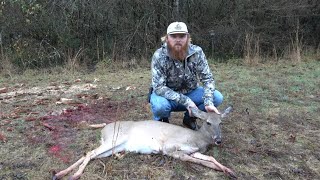 2024 Deer Season in South Carolina is right around the corner  Relive a Hunt from Last Season [upl. by Aliehc776]