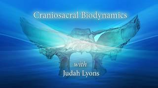 Lyons Institute  Craniosacral Biodynamics  Introduction [upl. by Coney]